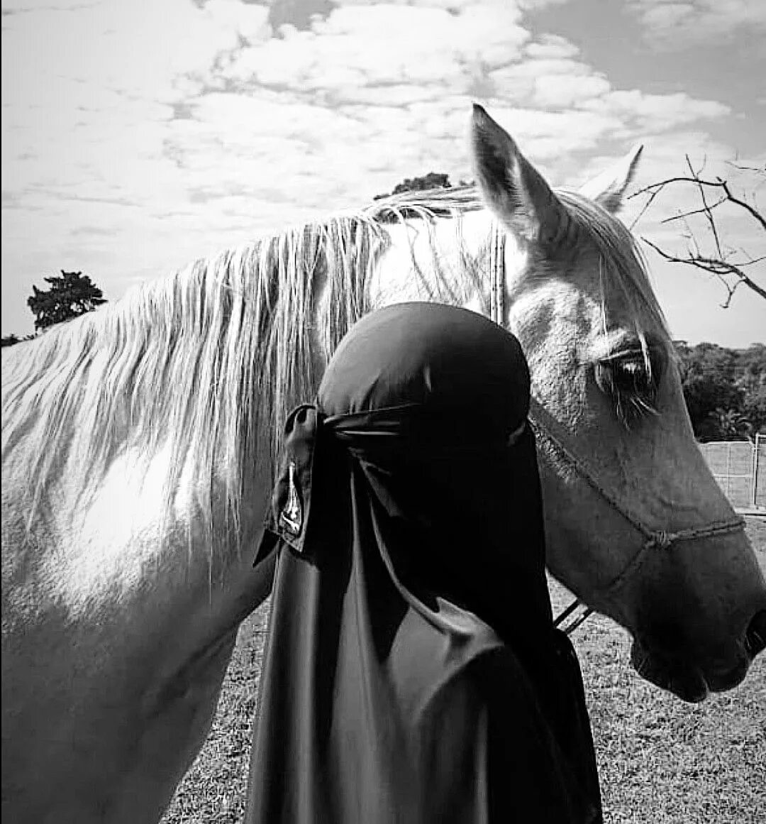 Мусульманские лошади. Никаб на лошади. Мусульманка лошадка. Лошадь мусульманский красивый. Мусульманка в никабе на лошади.
