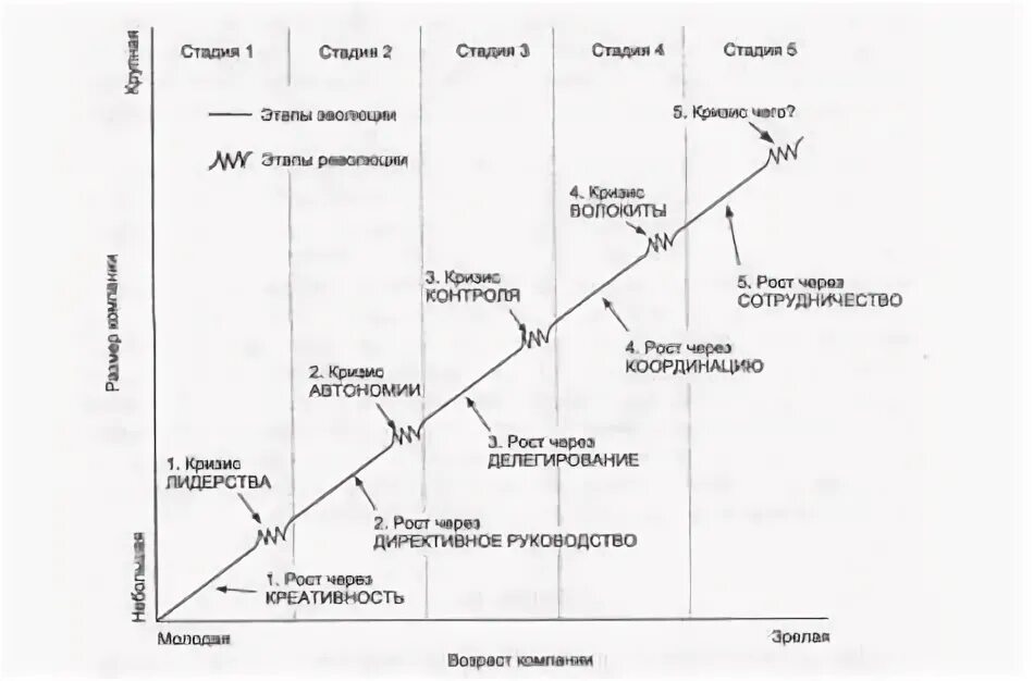 Модель жизненного цикла ларри грейнера. Модель грейнера жизненный цикл. Жизненный цикл организации по ларри грейнеру. Модель жизненного цикла л. Модель л грейнера этапы жизненного цикла.
