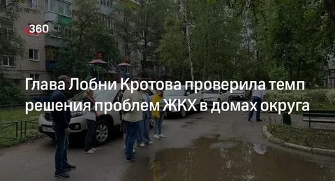 Кротова глава лобни