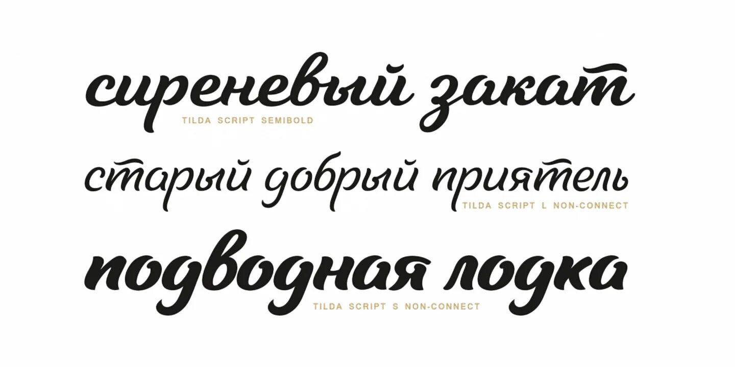 Скриптовые шрифты. Script шрифт русский. Dafont шрифт. Шрифты в ворде. Скрипт шрифт.