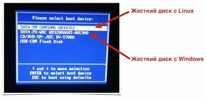 Как установить виндовс на второй жесткий. Linux windows диски. установка windows и linux. жесткий диск для windows и linux. линукс операционная система загрузка виндовс.
