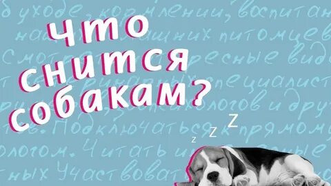 К чему снится своя собака женщине