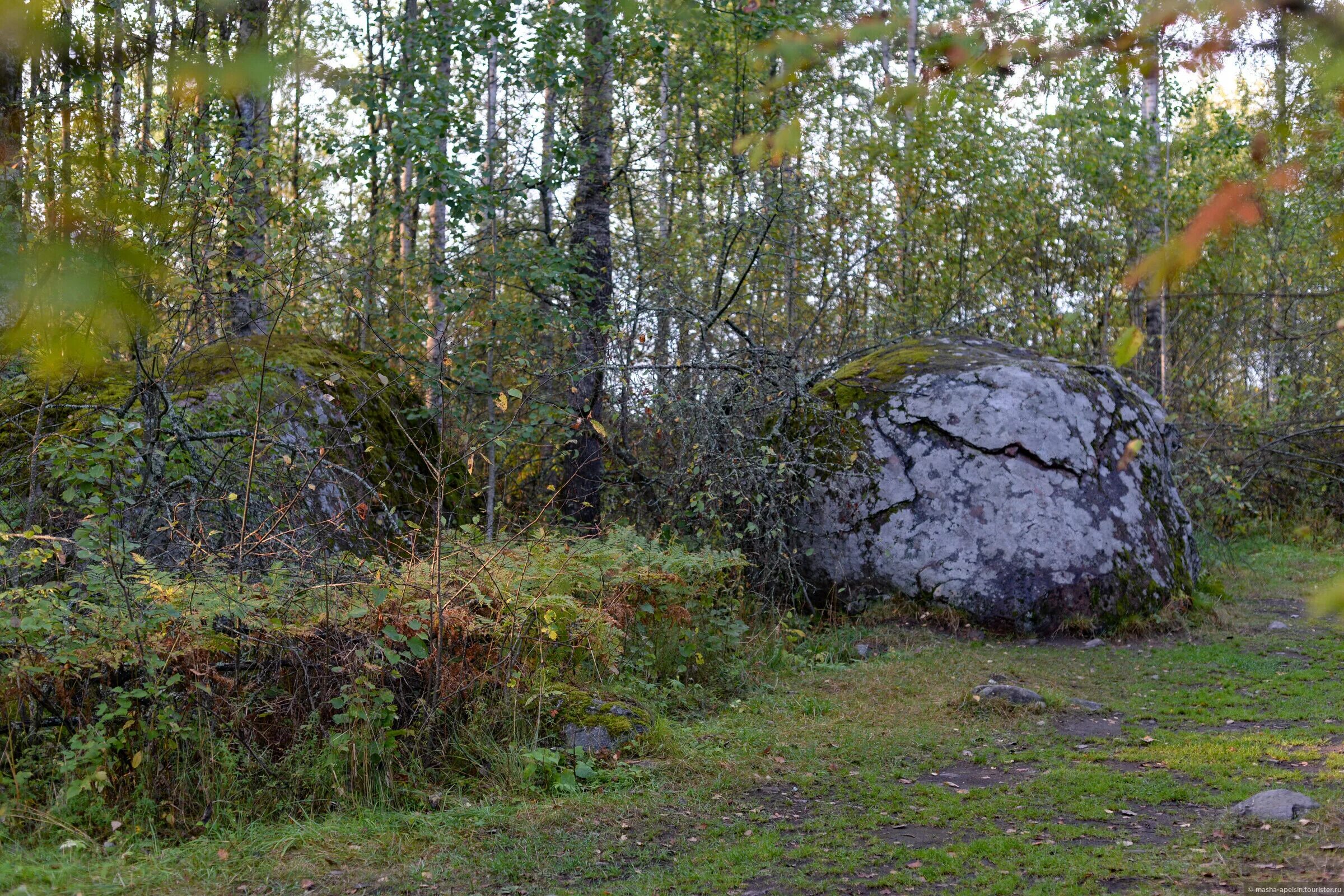 Городище ленинградская область. Тиверская крепость Вуокса. Тиверская крепость Приозерский. Тиверское Городище Ленинградская область. Тиверская крепость Приозерский район достопримечательности.