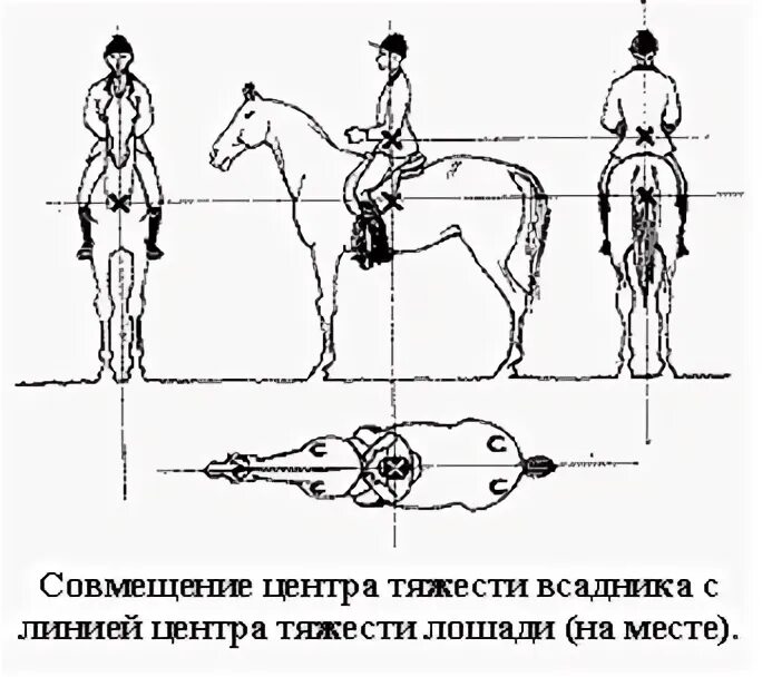 Два всадника расстояние. Два всадника расстояние
