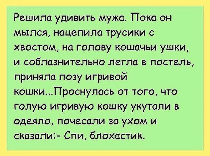 Пока муж пошел в магазин. Как удивить мужа юмор. Анекдоты про мужа и жену. Спи блохастик анекдот. Развеселить мужа.