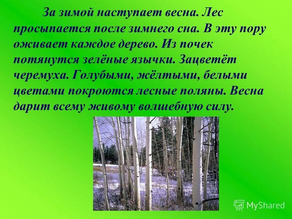 Что наступает после зимы. Наступил декабрь. Какое время года наступает после лета. Подснежники в снегу. Природа после зимы без снега.