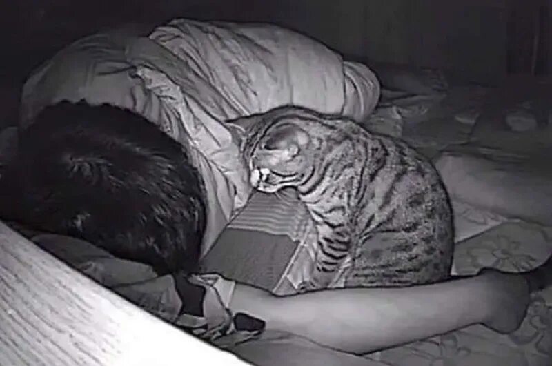 Сфоткал пока я спала. Спите больше изматывайте врага. Девушка сфоткала пока я спал. Любимая сфоткала пока я спал. Видео я пока сплю.