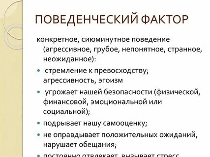 Программа лита