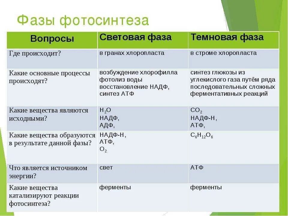 Что происходит в световую
