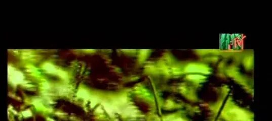 X mode в мире животных. В мире животных музыка ремикс. песня в мире животных ремикс. ремикс к песни в мире животных.
