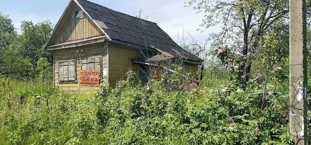 Дача широкий буерак. Дачная 2 энгельс. Сады волжанка кимры. Поцелуевка дача снт нива. Дачи энгельс.