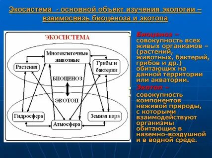 Экосистема наука