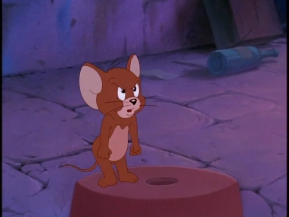 Недовольный Джерри. Мышонок Джерри злится. Джерри злится. Не маленькая. Така маленький