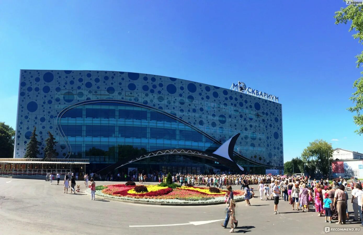 Москвариум водное. Москвариум на ВДНХ. Океанариум ВДНХ. ВДНХ Водный мир. Москвариум фото.