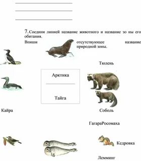 Определи животных подпишите названия животных