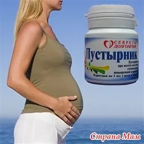 Пустырник беременным