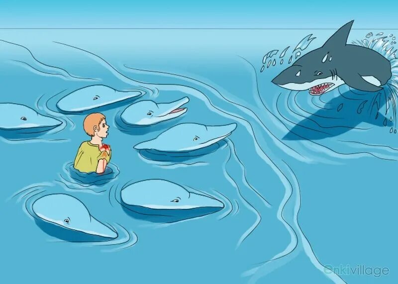 Дельфины спасают людей. Дельфин спас человека. Дельфины спасают тонущих людей. Дельфин спасает человека. Дельфин спас человека.