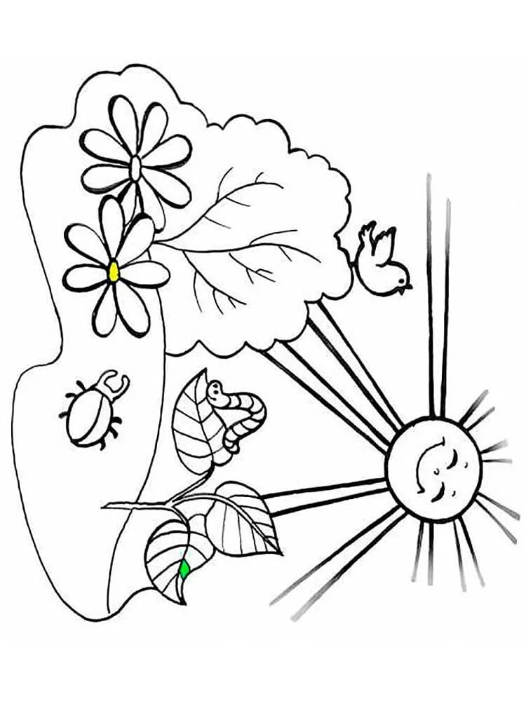 Раскраски майские праздники для детей. Весенние раскраски для детей. Праздник весны и труда раскраска. Раскраска июнь месяц. Цветы мая рисунок