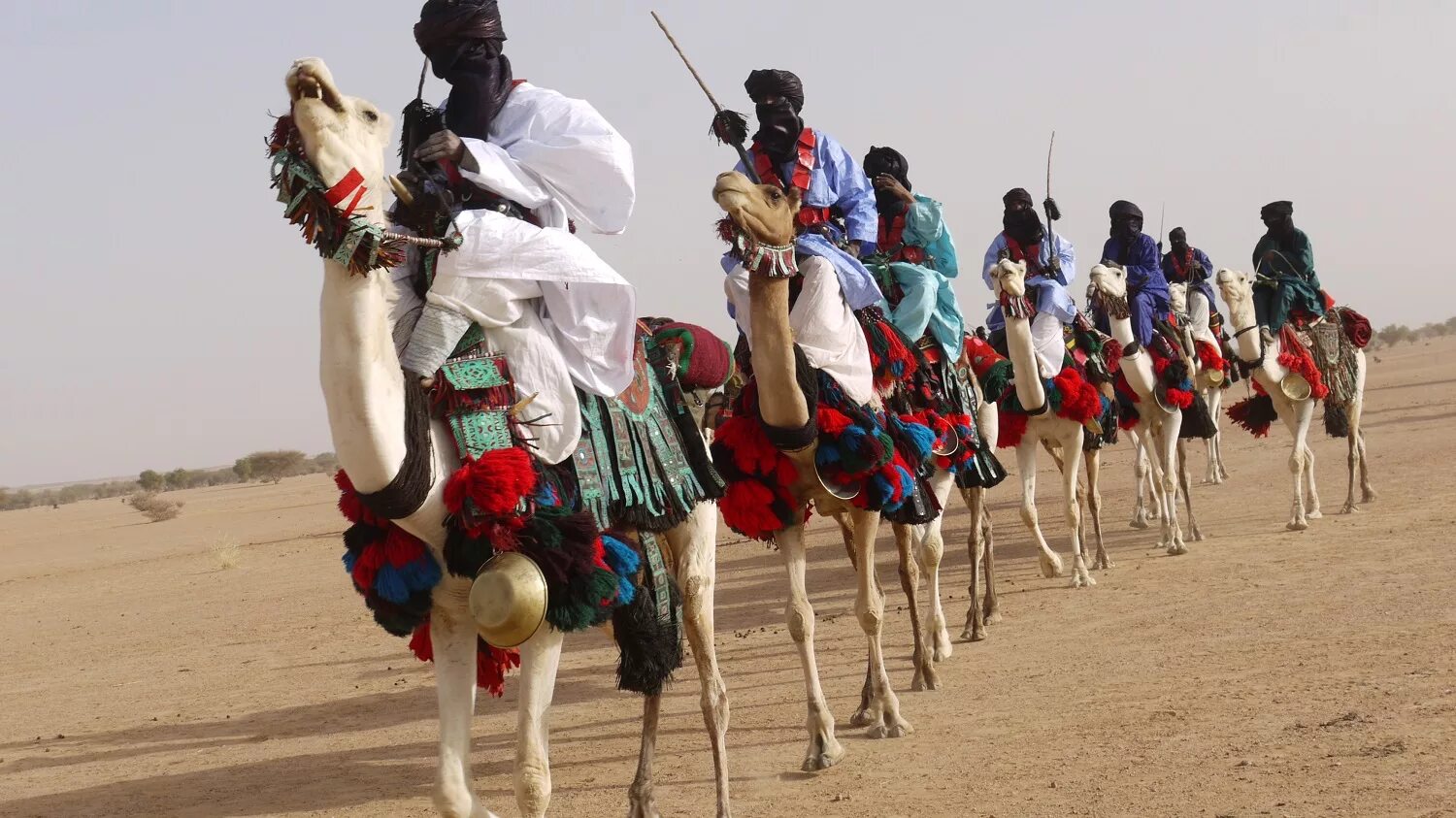 этнос туниса. алжир национальная одежда гандура. культура туниса. алжир народ. народы алжира и их быт.