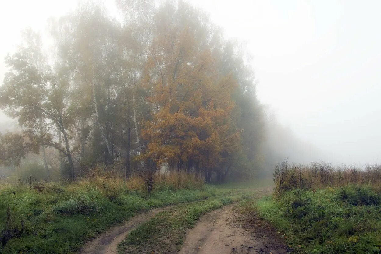 Туманное осеннее утро в деревне. Осенний дождь в деревне. Дождливая осень в деревне. Пасмурная осень. Осень дорога в деревне