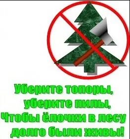 Против ели