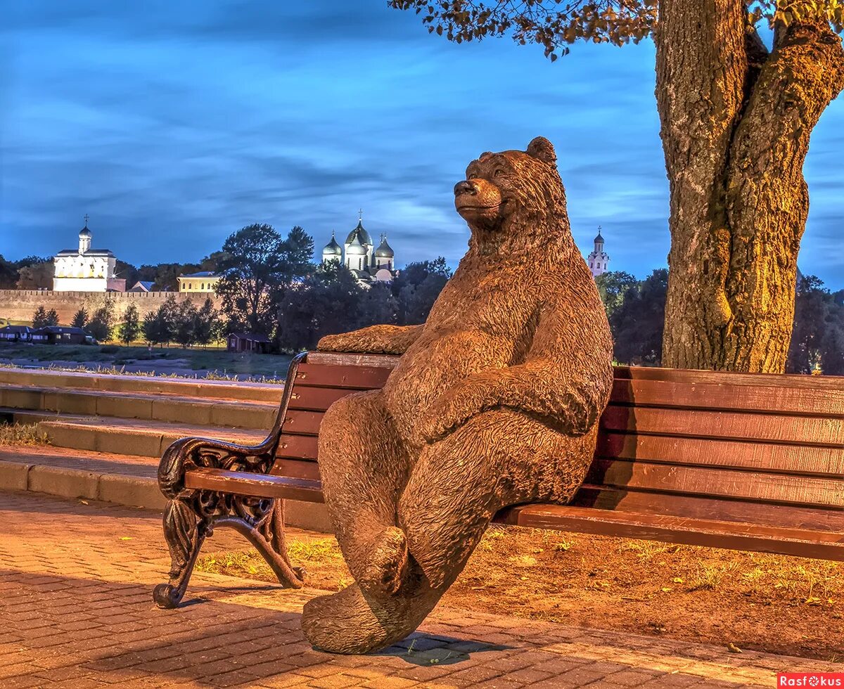 бурый медведь таганай. село медведь шимского района новгородской. село медведь шимского района новгородской. медведь новгородская. село медведь новгородская область магазин.