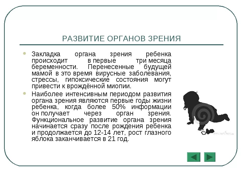 Развитие органа зрения. Формирование органа зрения у плода. Этапы развития глаза. Критические периоды развития органа зрения. Зрение в 1 месяц