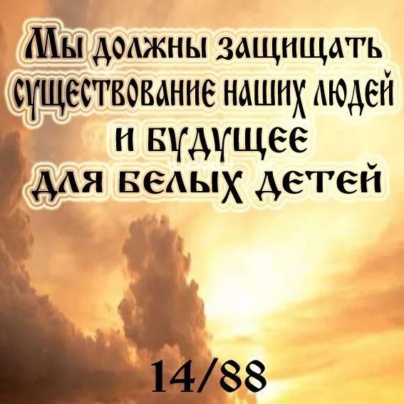 Дэвид Лэйн 14 88. Дэвид Лэйн 88. Дэвид Лэйн 14/88 заповеди. 14 Слов 88 заповедей. Заповедь 14 слов