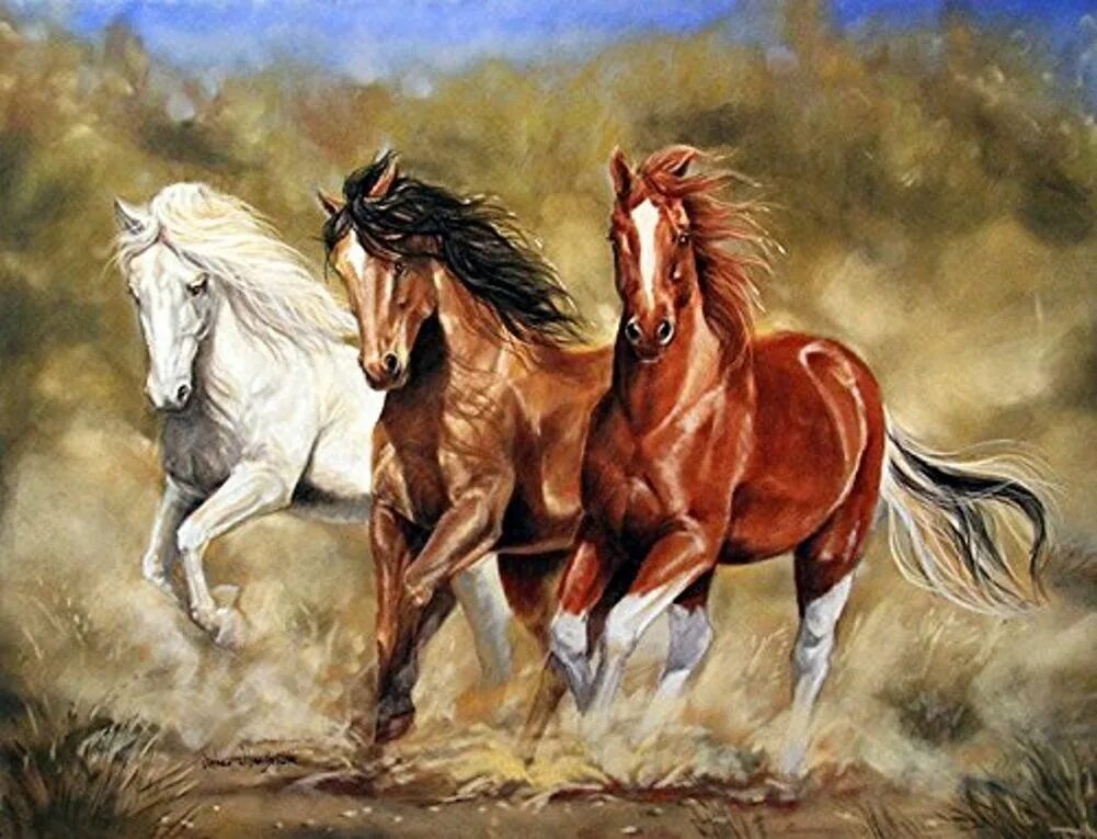 Красивая тройка лошадей. Картина лошади. Три лошади. Пара лошадей.