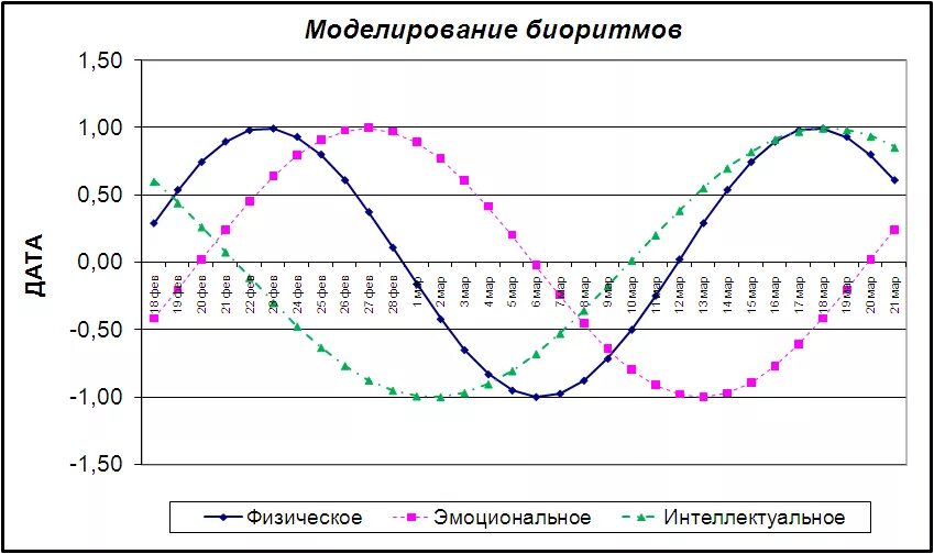 График биоритмов по дате. Диаграмма биоритмов человека. модель биоритмов. моделирование биоритмов. модель биоритмов человека.