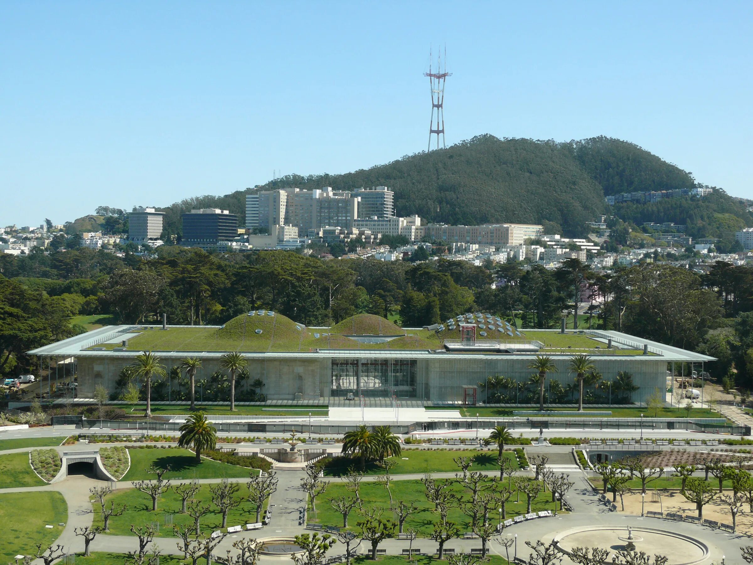 Калифорнийская академия наук в сан-франциско. Логотип пайтон 2020. Esdi школа. Science academy. Рт академия png.