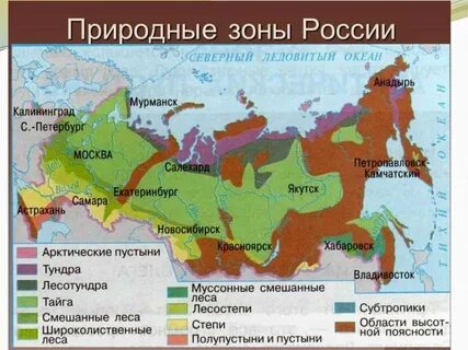 В какой природной зоне находится дон