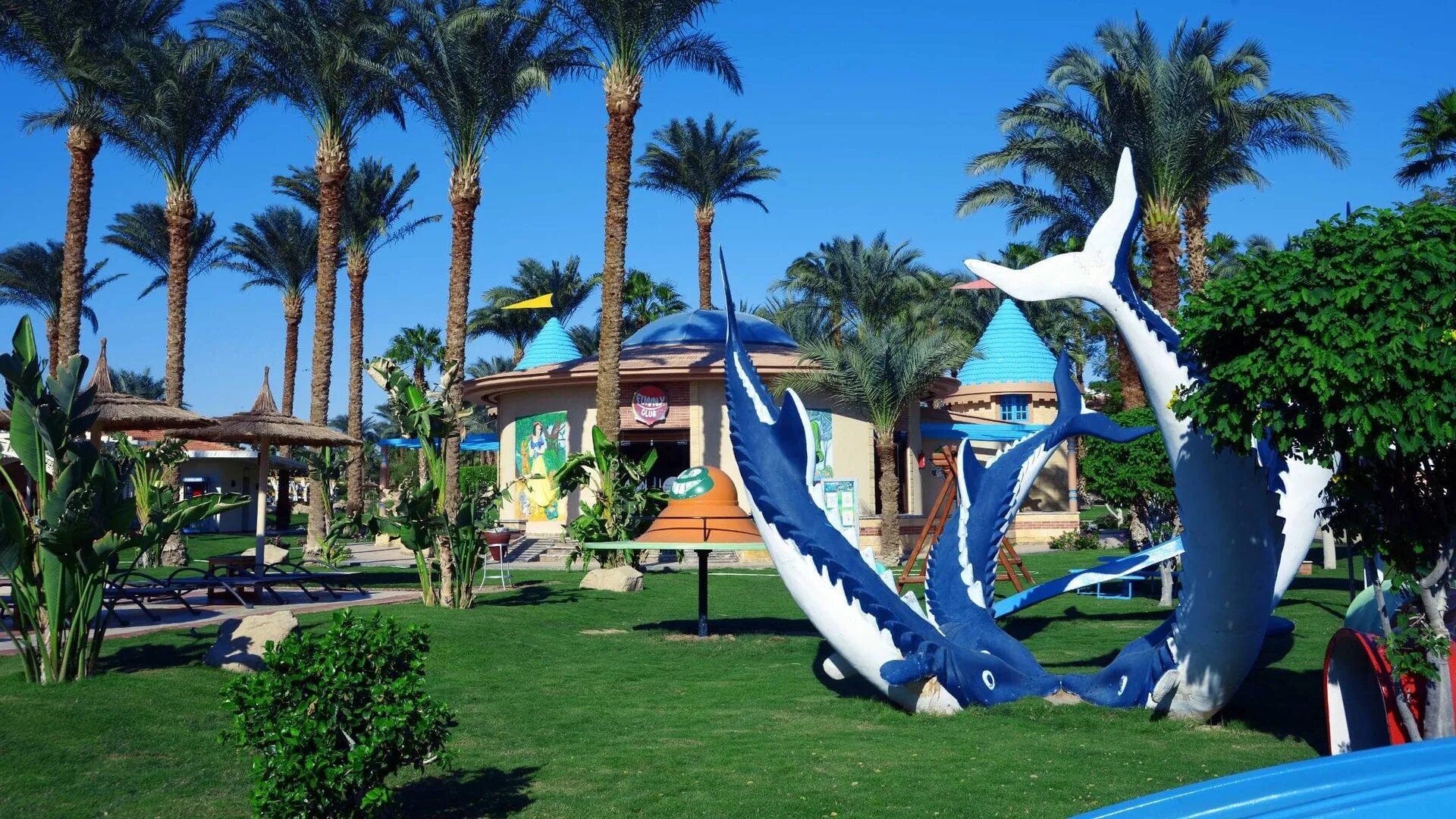 Neverland хургада. Отель в Египте Альбатрос Бич. Отель Beach Albatros Resort Hurghada. Beach Albatros Resort 4. Альбатрос Бич Хургада 4.