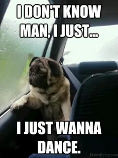 I just had