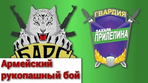 Рукопашный бой барс