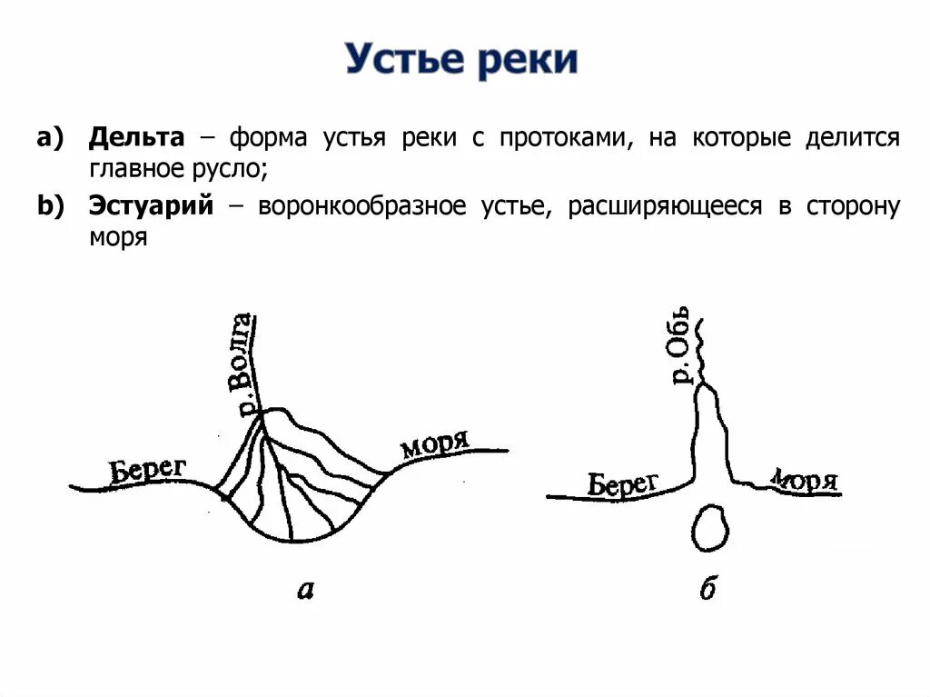 Точки устья. Геологическая деятельность болот. Геологическая деятельность рек. Изменение устья реки. Геологическая деятельность озер.