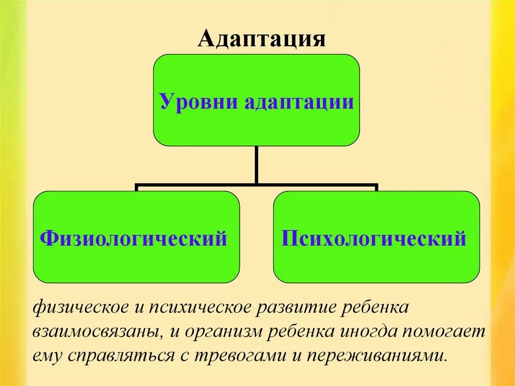 Уровни адаптации. Уровни адаптации: физиологический, психический, социальный.. Психологический уровень адаптации. Уровни адаптации в психологии.