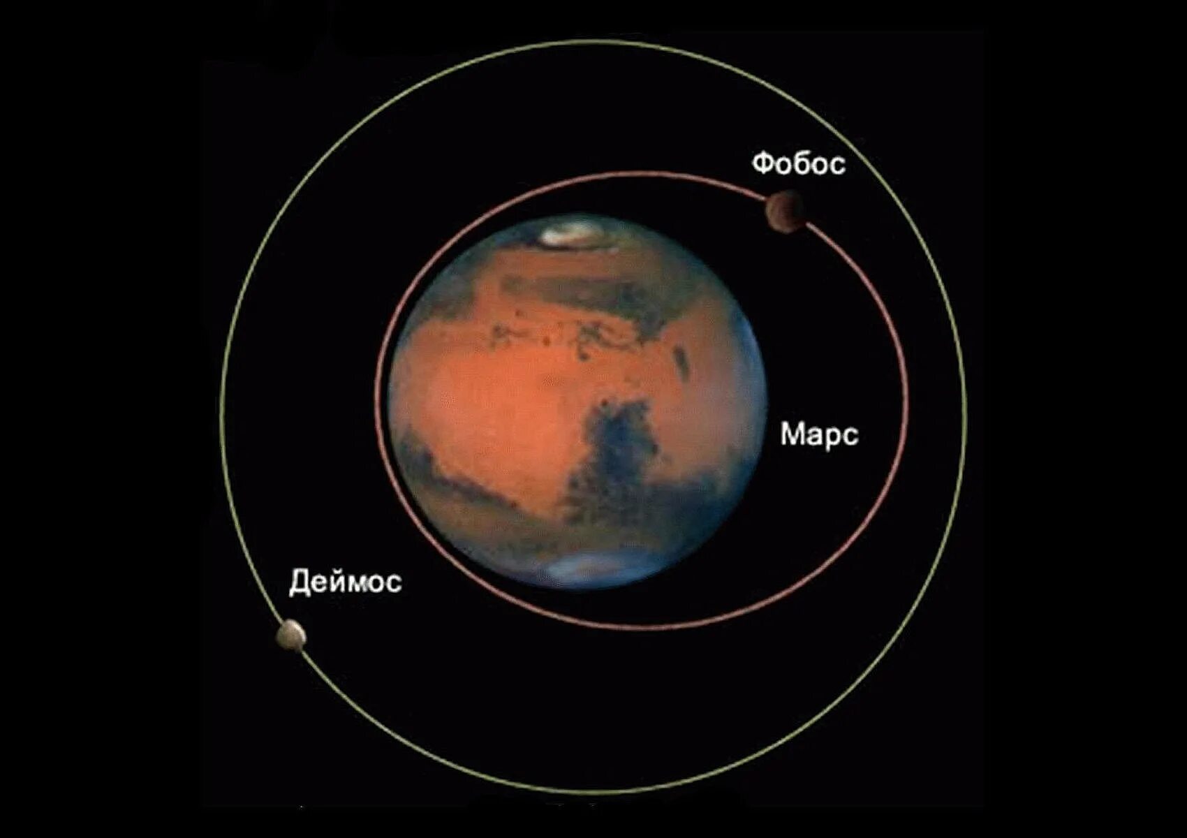 Орбита планеты марс. Марс Планета спутники Фобос и Деймос. Марс Фобос и Деймос. Деймос (Спутник Марса). Орбиты Фобоса и Деймоса.