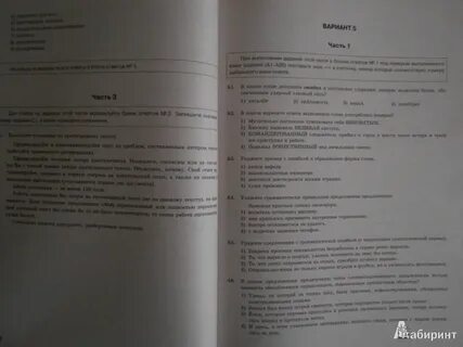 Сочинение 10 вариант сенина