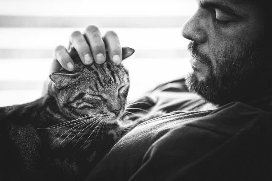 Мужчина с котенком. Фуркан андыч и его семья фото. Кигэн аллен. Брутальный мужчина с котом. Мужчина и его кот.