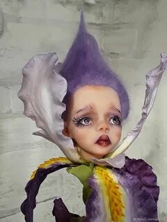 Doll iris