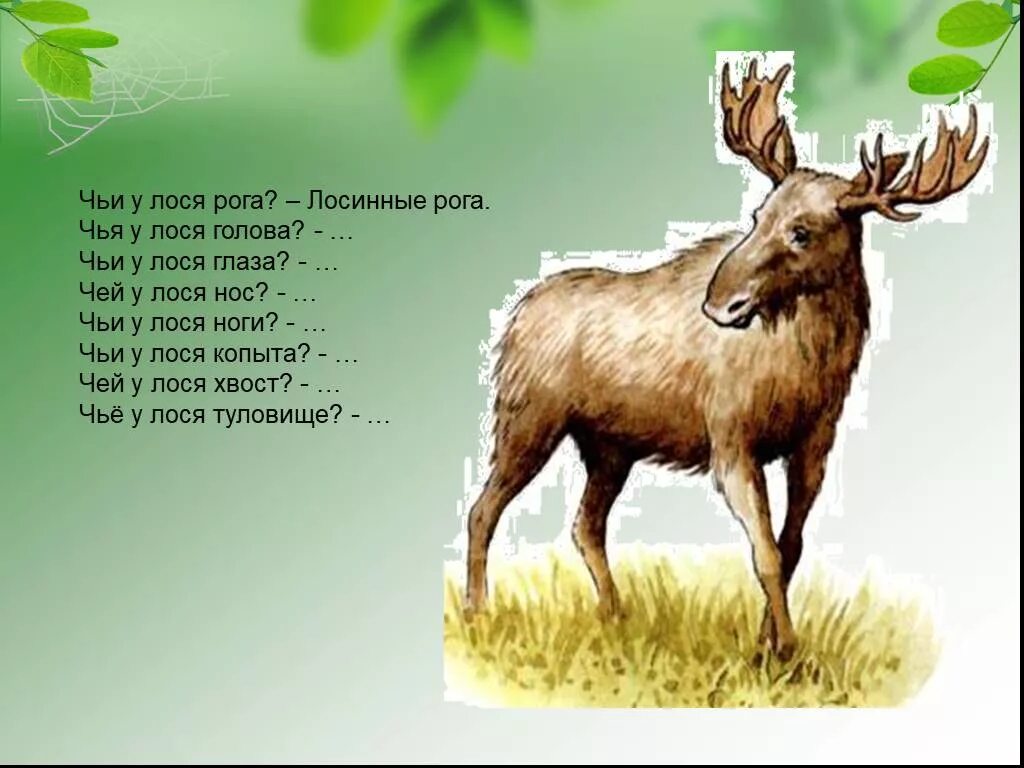 Чей лось. Детские стихи про лося. Загадка про лося. Стих загадка про лося. Загадка про лося для детей.