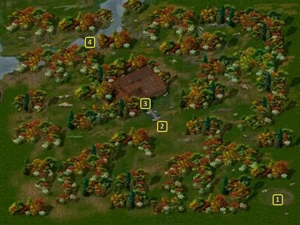 Baldur s gate плащи