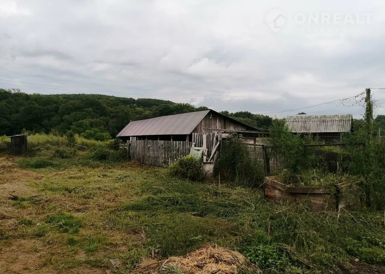 Новомихайловка алтайский. Новомихайловка Алтайский край. С Новомихайловка Чугуевский район. Новомихайловка Барнаул. Дача в Новомихайловке.