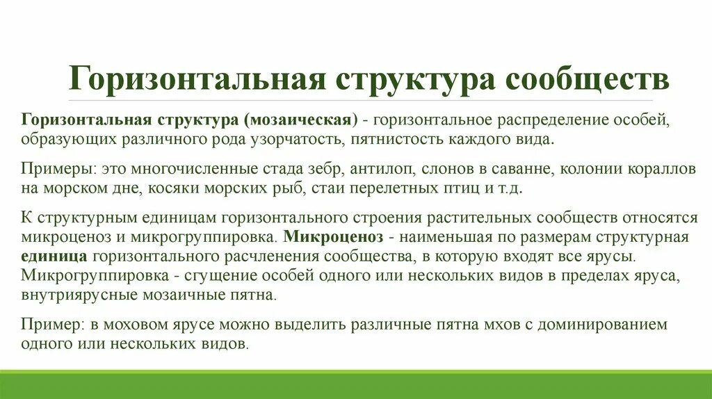 Горизонтальная пространственная структура. Горизонтальная структура биоценоза. Горизонтальная структура сообщества. Горизонтальная структура экосистемы. Примеры вертикальной структуры