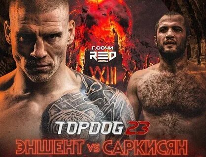 Ufc 16