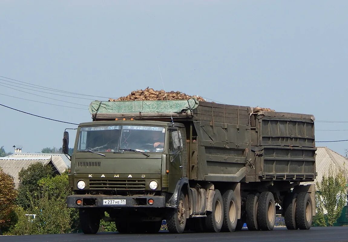 КАМАЗ 5511 зерновоз с прицепом. КАМАЗ 55111 зерновоз. КАМАЗ 55111 С прицепом. КАМАЗ 55111 С прицепом зерновоз. Пермский край камаз продажи