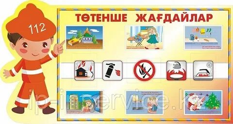 Әдемі кисканың жақыннан түсірілген бейнесі