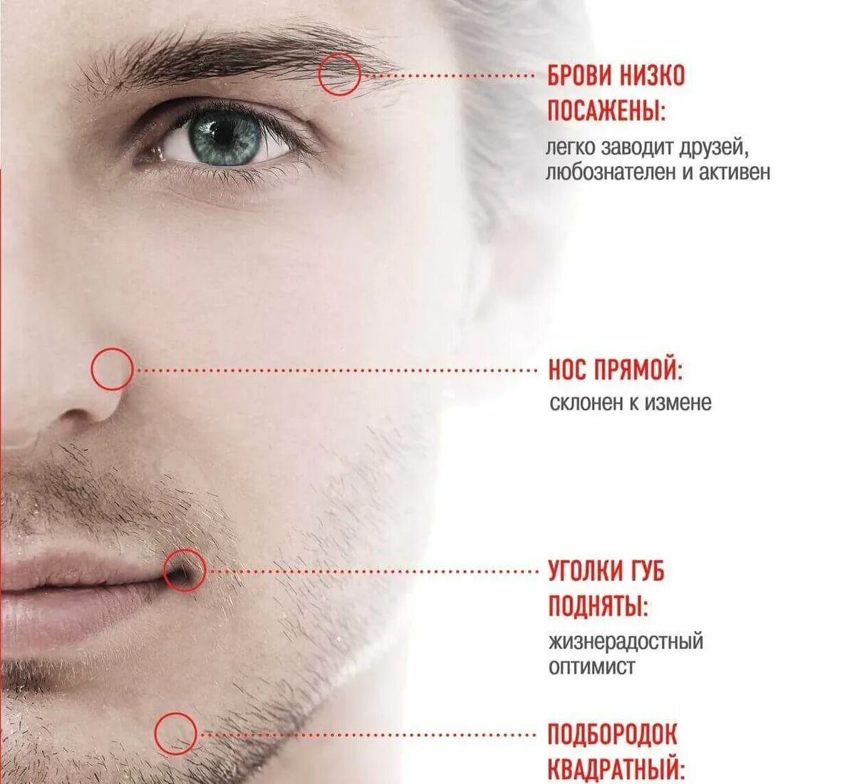 Физиогномика. Узнать что означает по фото. Выявление лжи по мимике и жестам. Распознать по лицу человека. Физиогномика лица.