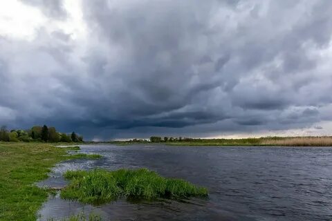 Великая река абрикобукс